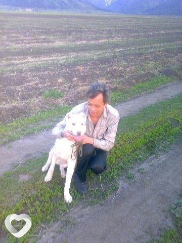 Александр, 52, Риддер — анкета №311289