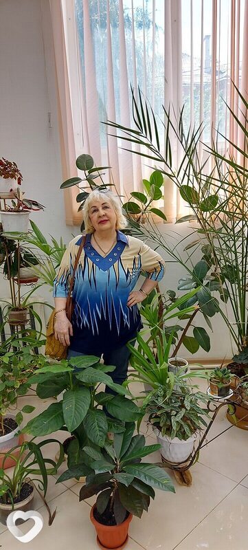 Ninivioleta, Волгоград