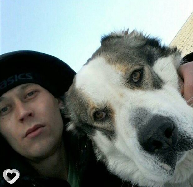 Владимир, 36, Кокшетау — анкета №313343