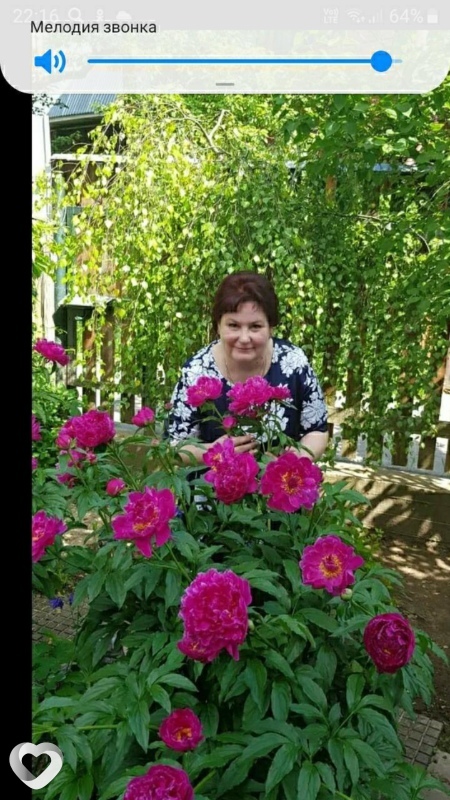 Татьяна, 56, Переславле-Залесском — анкета №315127