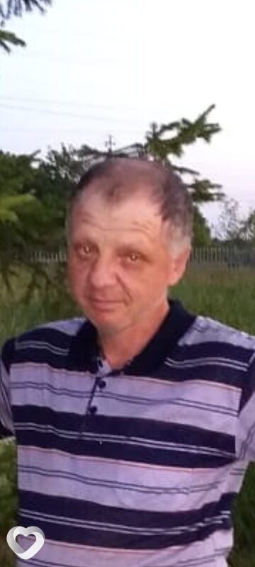 Владимир, Мамлютка