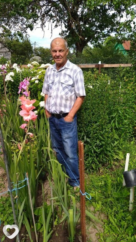 Юрий, 65, Смоленске — анкета №317858