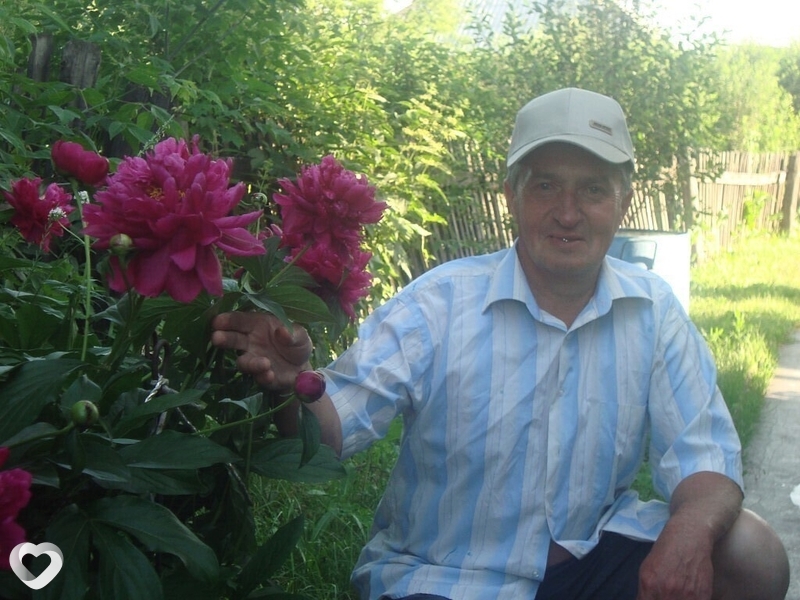 Владимир, 66, Белове — анкета №318401