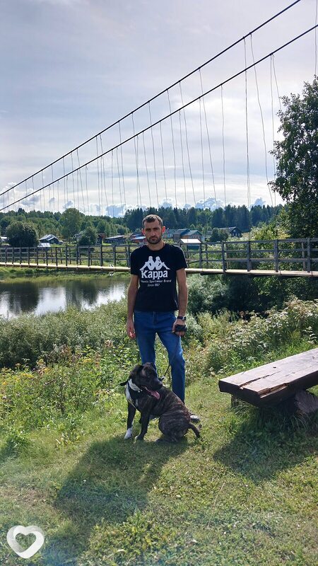 Миша, 34, Костроме — анкета №318846