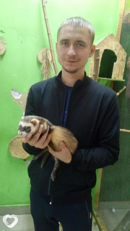 Дмитрий, 35, Пензе — анкета №320013