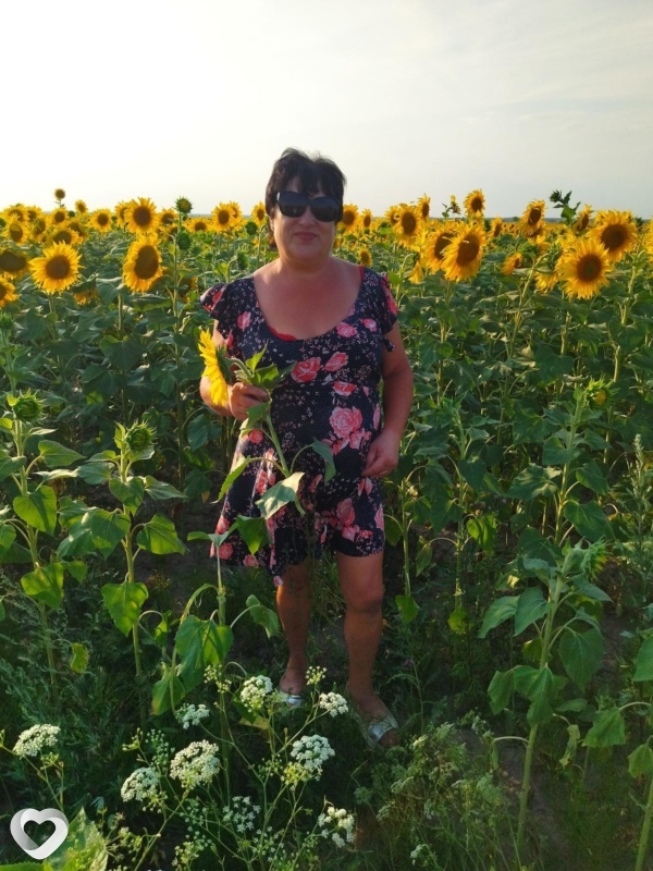 Лана, Ковель