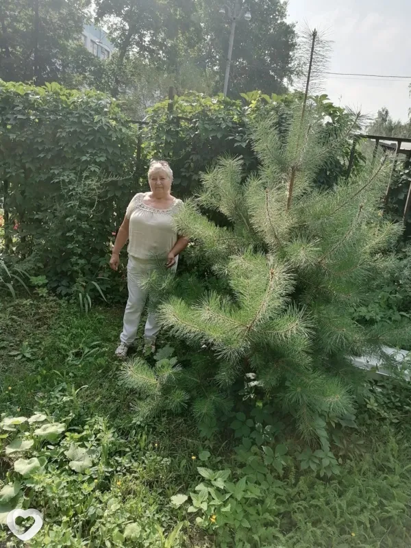 Валентина, 69, Москве — анкета №324326