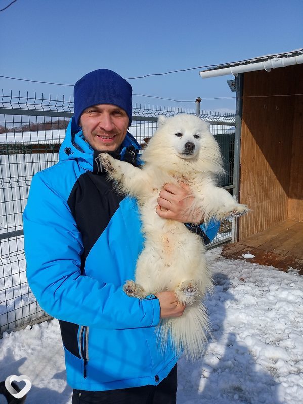Виталий, 39, Магнитогорске — анкета №324963