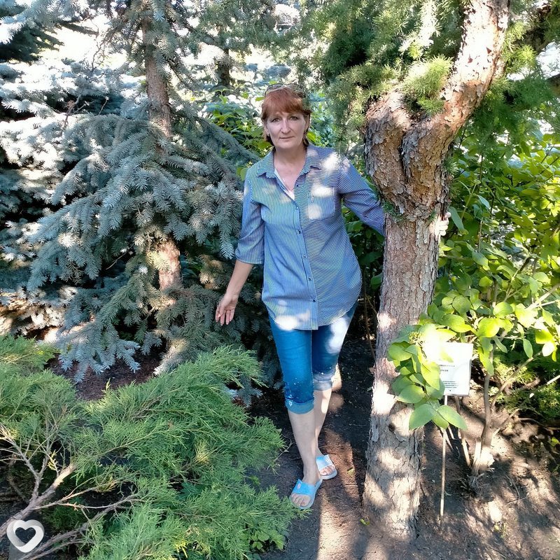 Лариса, 55, Барнауле — анкета №325877