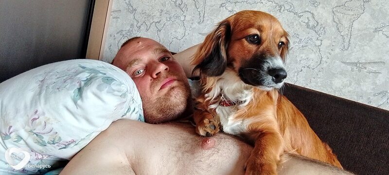 Владимир, 36, Полоцке — анкета №328325