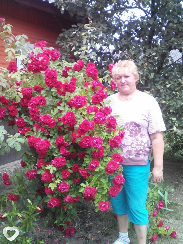 Елена, 64, Молодечно — анкета №329515