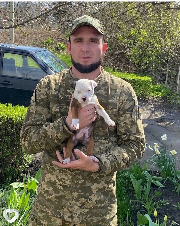 Дмитрий, 31, Димитрове — анкета №330775