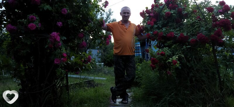 Серж, 51, Саратове — анкета №331182