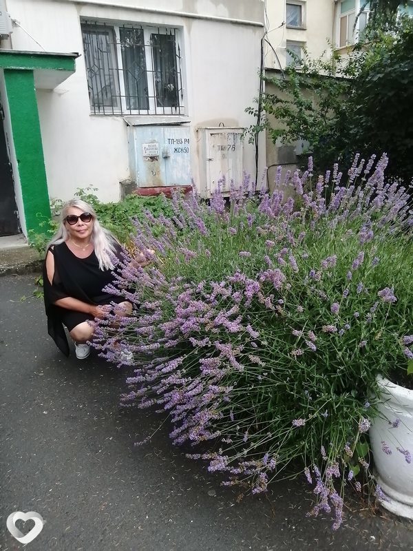 Елена, 57, Твери — анкета №331671