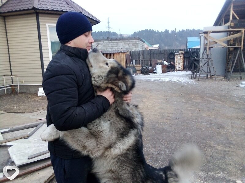 Александр, 29, Чите — анкета №331349