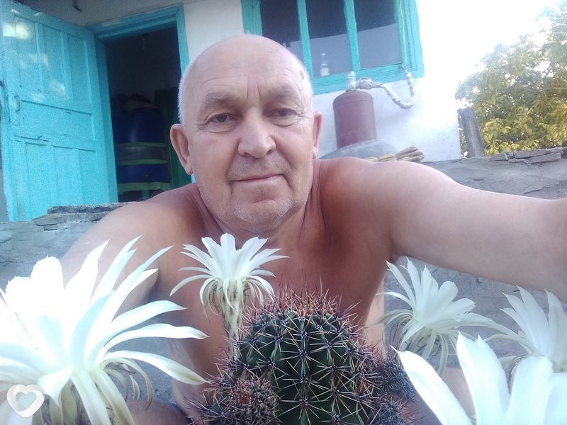 Володя, Антрацит