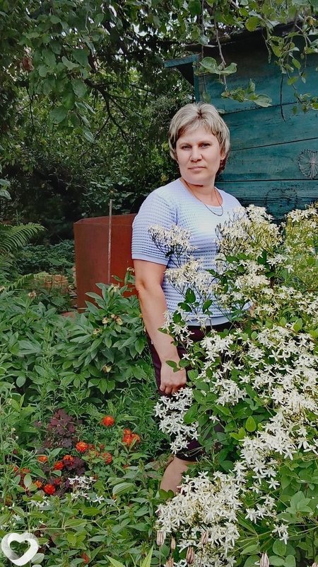 Наталья, 53, Нижнем Новгороде — анкета №331936