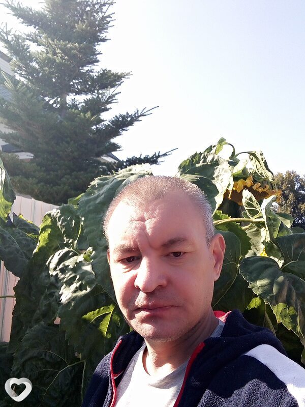 Владимир, 45, Нижнем Новгороде — анкета №332047