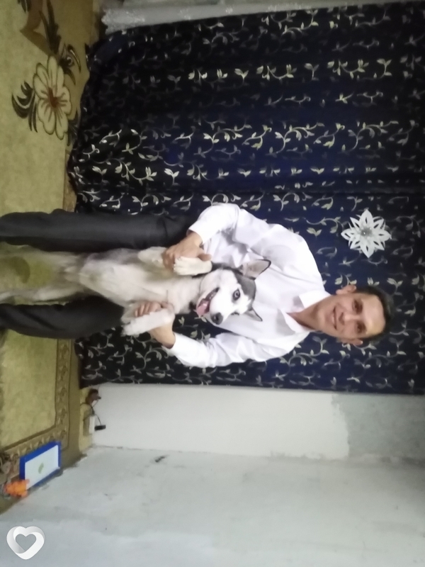 Дима, 32, Астане — анкета №334074