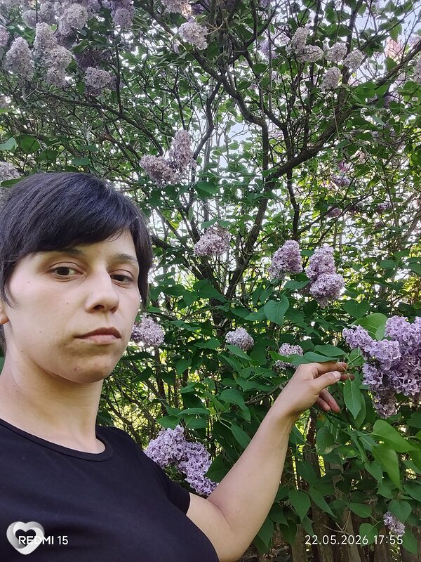 Алина, Думиничи