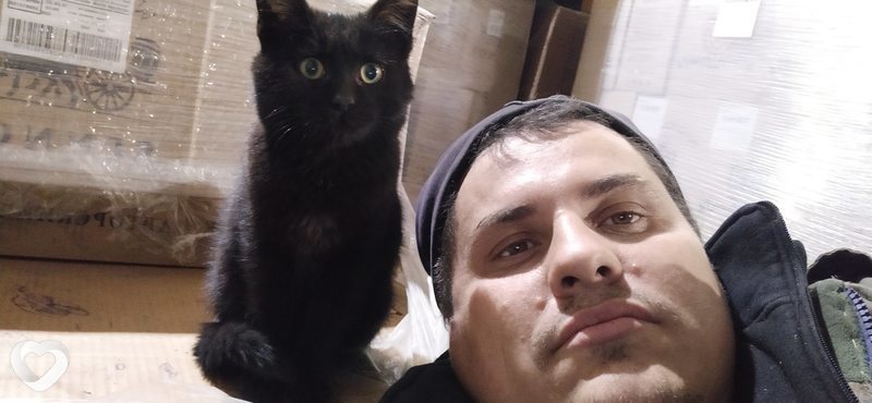 Павел, 39, Раменском — анкета №334519
