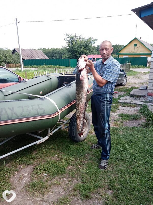 Юрий, 56, Гродно — анкета №337157