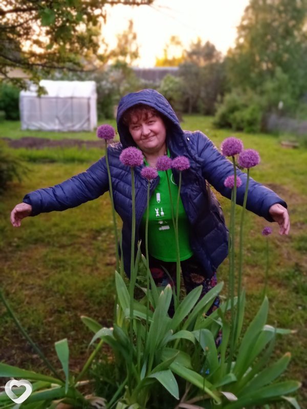 Светик, Ярославль