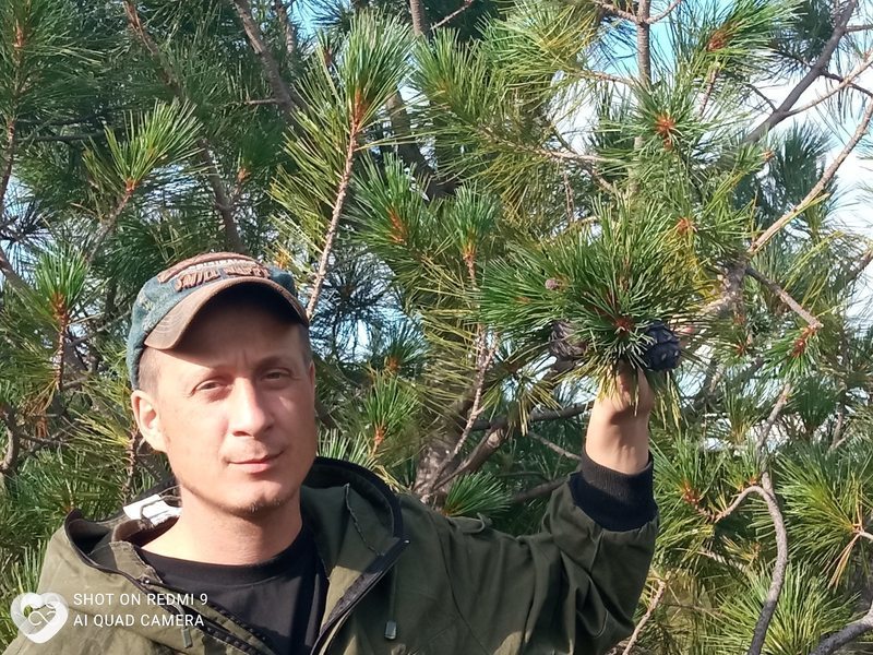Денис, 38, Карасуке — анкета №338512