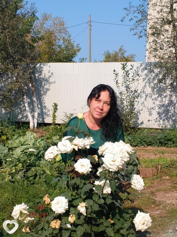 Лана, 42, Кирове — анкета №338026