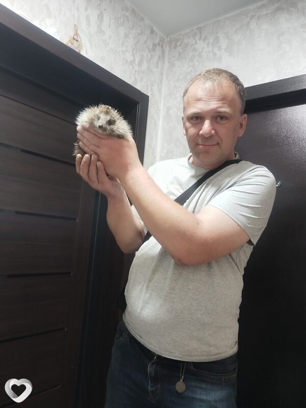 Евгений, 40, Гомеле — анкета №338592