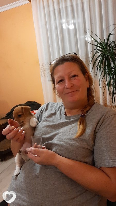 Светлана, 54, Воскресенске — анкета №338593