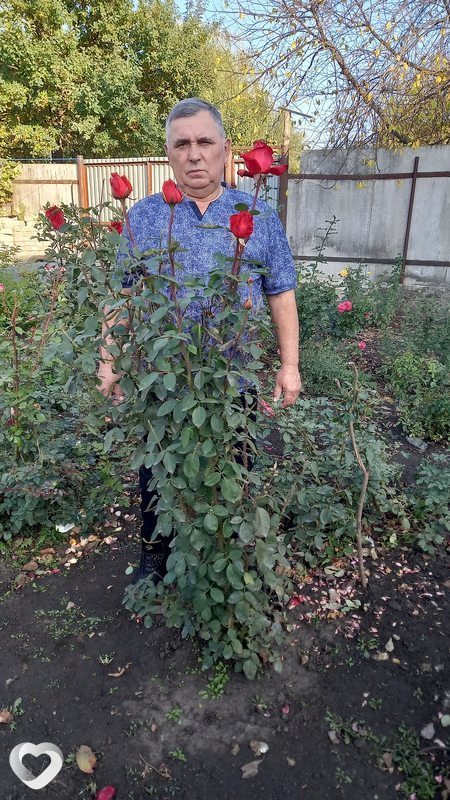 Юрий, 68, Старом Осколе — анкета №339258