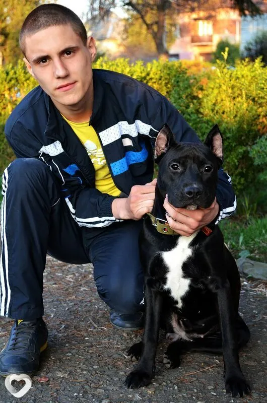Vadim, 31, Мукачеве — анкета №8196