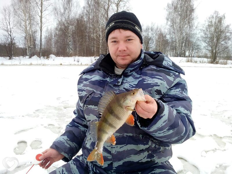 Илья, 39, Костроме — анкета №344507
