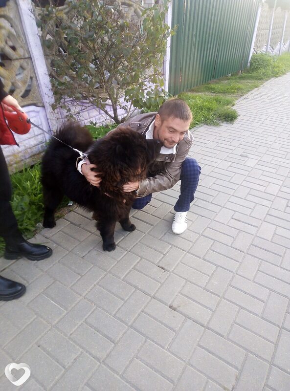 Роман, 41, Слуцке — анкета №345694