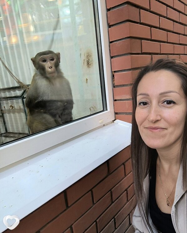 Ольга, 43, Казани — анкета №352525