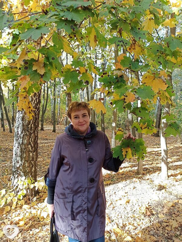Наталья, 55, Липецке — анкета №352622