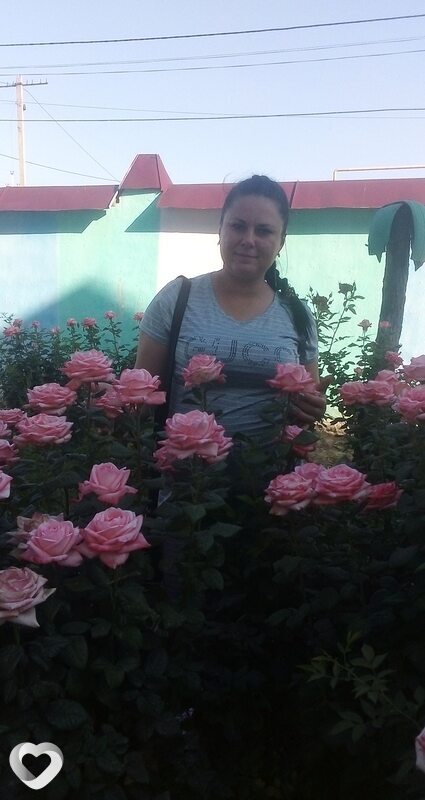 Анна, Арысь