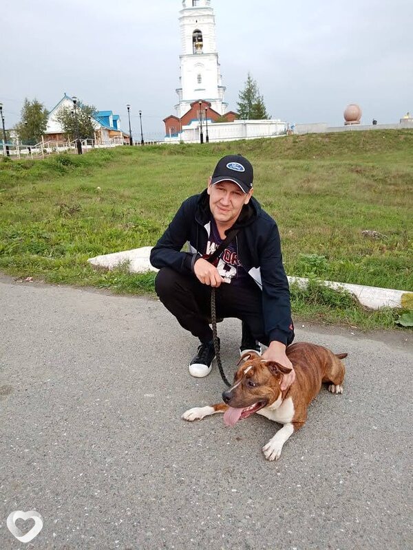 Роман, 39, Североуральске — анкета №359337