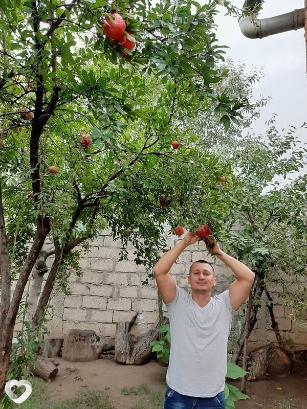 Oleh, Забрже