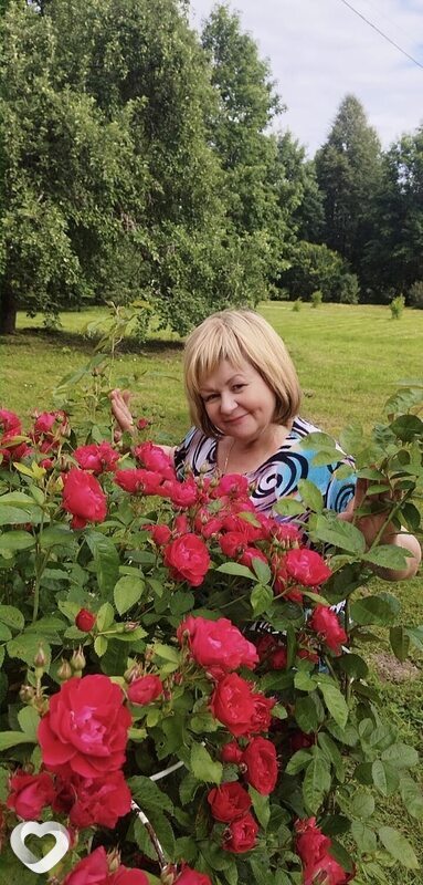 Ирина, 60, Твери — анкета №356247