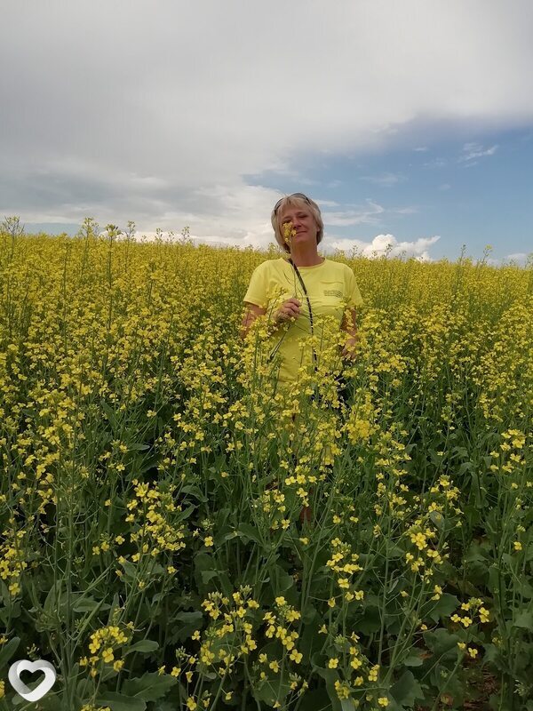Елена, 55, Красноярске — анкета №358667