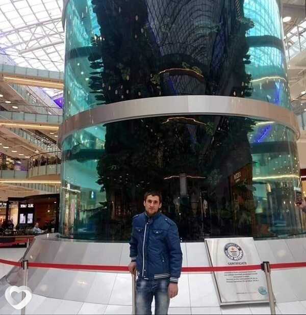 Eduard, Каушаны