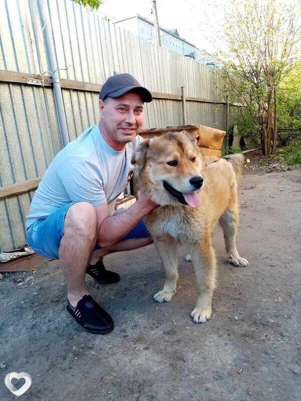 Дмитрий, 49, Петропавловске — анкета №359937