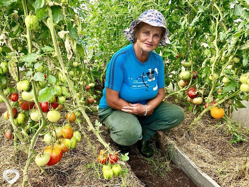 Людмила, 73, Минске — анкета №362051