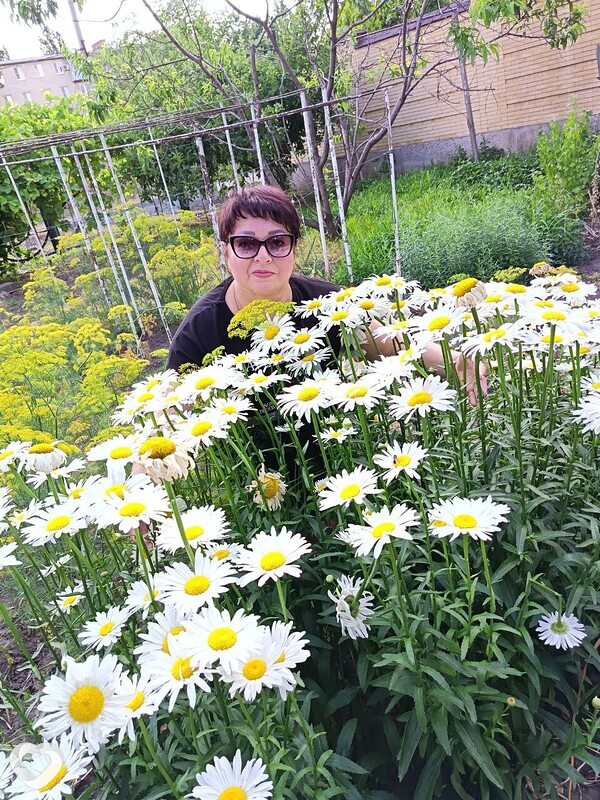 Ирина, 54, Армавире — анкета №363560