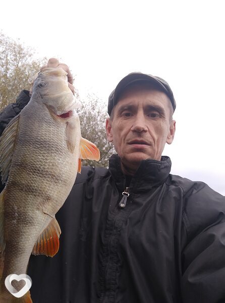 Владимир, 50, Москве — анкета №369487