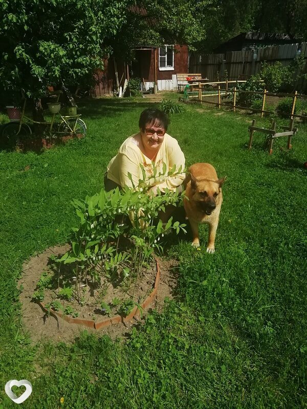 Екатерина, 61, Воскресенске — анкета №371209