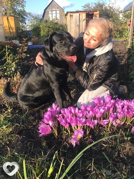 Диана, 47, Ульяновске — анкета №371395