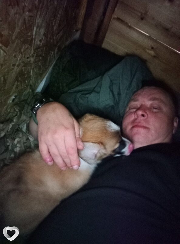 Роман, 33, Благовещенске — анкета №373143